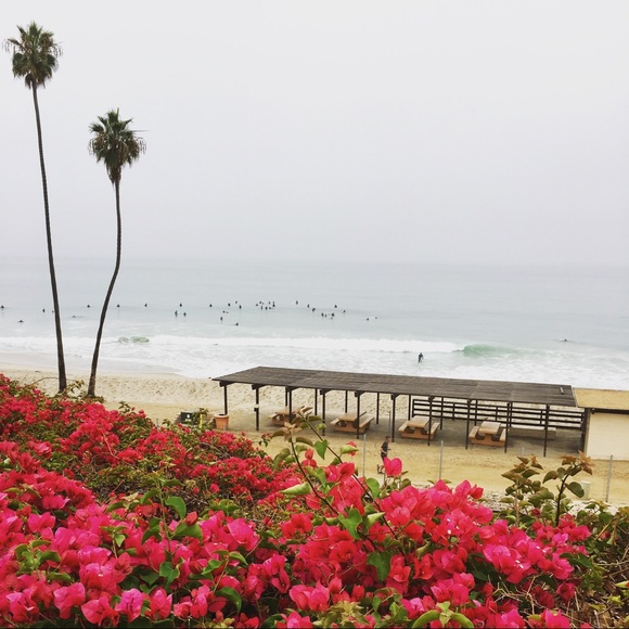 Welcome! 💕 - Picture 6 of 7